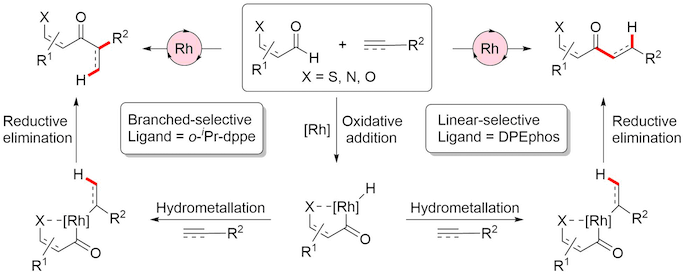hydroacylation mechanism