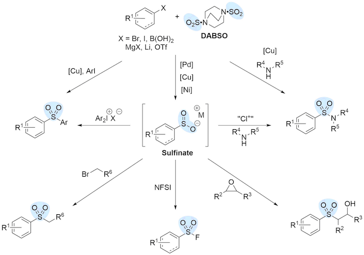 sulfinate scheme35