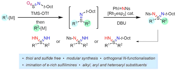 sulfondiimine work